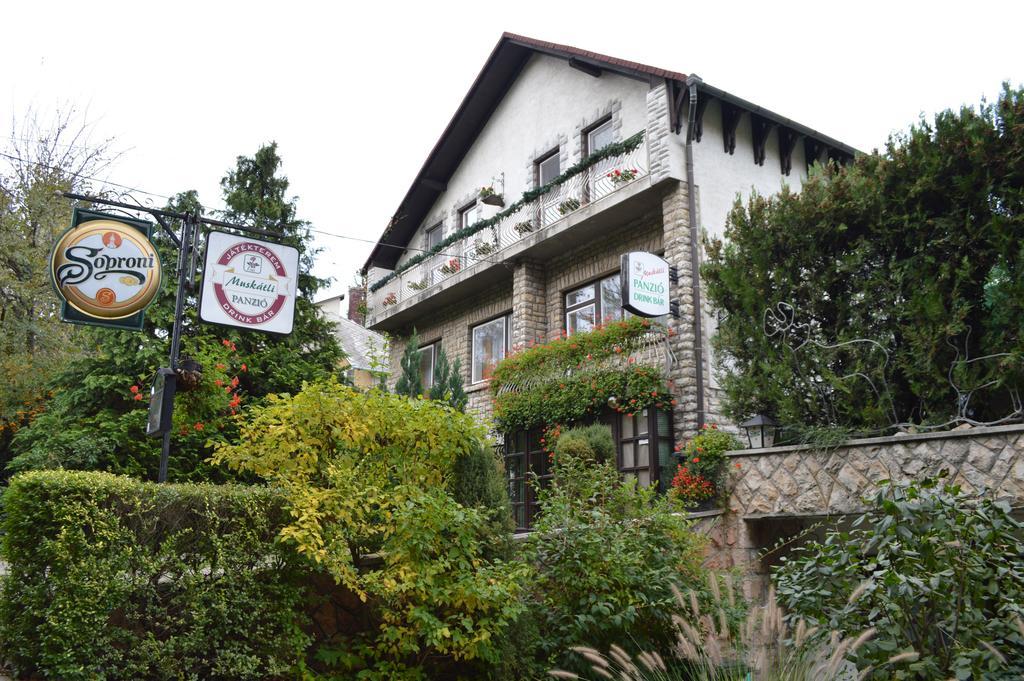 ジュール Muskatli Panzio Bed & Breakfast エクステリア 写真